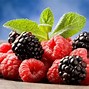 Image result for Purple BlackBerry Fruit Wallpaper