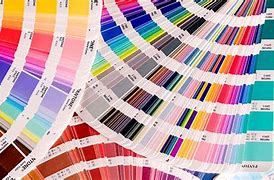 Image result for Most Popular Color in the World