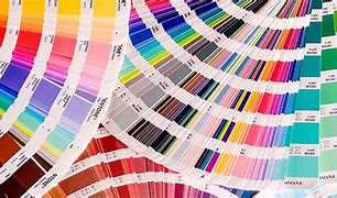 Image result for The Most Liked Color