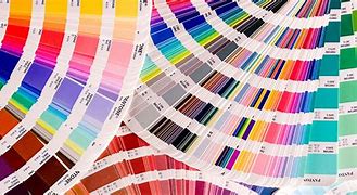 Image result for The Most Popular Color