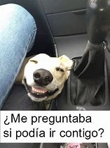 Image result for Meme Contento