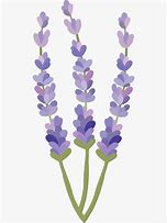 Image result for Lavender Flower Stickers