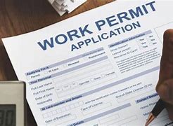Image result for Visa Work Permit 1001 Form