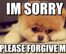 Image result for I AM Sorry Animal Memes