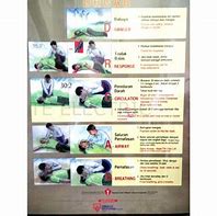 Image result for TNB CPR Chart
