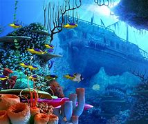 Image result for Underwater Background