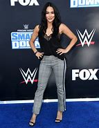 Image result for Brie Bella Funny