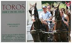 carrozze cavalli usate 4 176 successo per la classica trottata dei colli goriziani carrozze cavalli usate 4 176 successo per la classica trottata dei colli goriziani