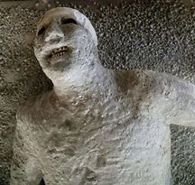 Image result for Victims of Pompeii