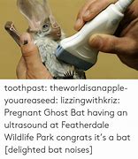 Image result for Ghost Bat Meme