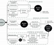 Image result for Noogenic Activation Method