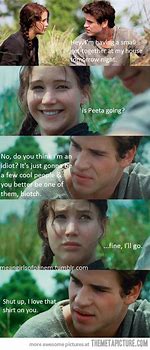 Image result for Hunger Games Memes Mean Girls