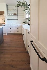 Image result for Kitchen Cabinet Pulls with Backplates