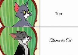 Image result for Tom the Cat Coom Meme