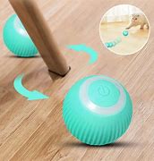 Image result for Cat Toys for Indoor Cats Adult