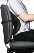 Image result for Mesh Chair Back Support