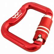 Image result for Paragliding Carabiners