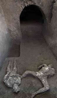 Image result for Pompeii Stone Bodies