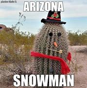 Image result for Fall in Arizona Meme