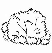 Image result for Bush Drawing Black and White