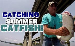 Image result for Catfishing in the Summer