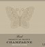 Image result for Magnum Bottle of Champagne