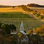 Image result for Henschke Shiraz Hill Grace