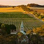 Image result for Henschke Riesling Green's Hill