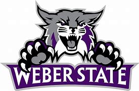 Image result for Weber State University Wildcat Logo