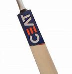 Image result for Cricket Bat Cartoon