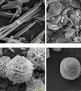 Image result for Magnesium Carbonate SEM Image
