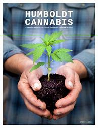 Image result for Marijuana Magazines