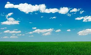 Image result for Blue Sky and Green Grass Thumbnail