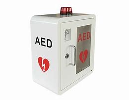 Image result for Wall Mounted AED Defibrillator