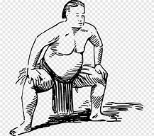 Image result for Sumo Wrestling