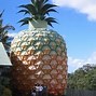 Image result for World's Largest Roadside Attractions