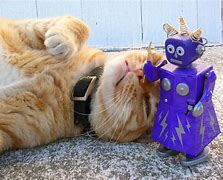 Image result for Cat Robot Fighting