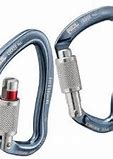 Image result for Carabiner PNG