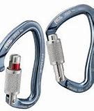 Image result for Oakley Carabiner