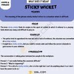 Image result for What Is a Sticky Wicket