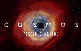 Image result for Cosmos Possible World's