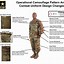 Image result for Soldiers Grey Fox U.S. Army Gear