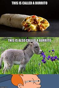 Image result for Burrito Girl Meme