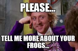 Image result for Snope Frog Meme