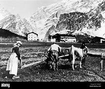 Image result for Working in the Fields Italy Old Photo