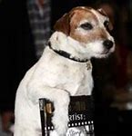 Image result for Famous Fictional Dogs