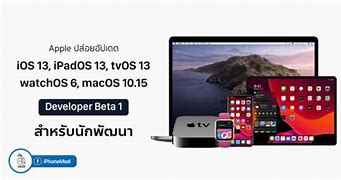 Image result for iPad OS 13