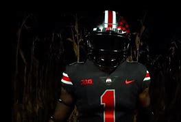 Image result for Ohio State Buckeyes PFP