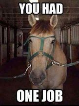 Image result for Christmas Horse Meme