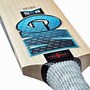 Image result for Cricket Players Using GM Bats